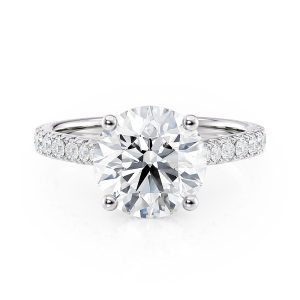 Platinum Hidden Halo Cathedral Engagement Ring